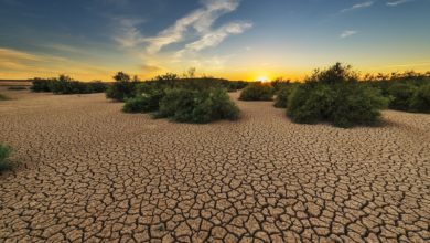 Photo of Drought: Definition, Causes, Stages, and Results