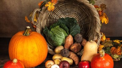 Photo of Nutritional Ingredients of Vegetables Planted in Autumn