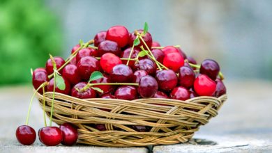 Photo of Health Benefits and Uses of Cherry Seed Oil