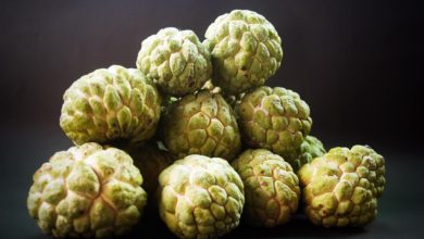 Photo of What is Custard Apple, What Are Its Benefits?