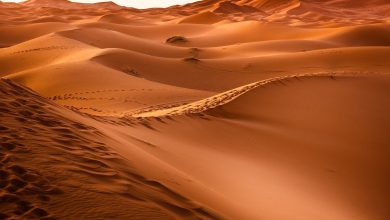 Photo of The 16 Most Fascinating and Surprising Deserts in the World