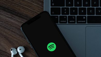 Photo of Spotify Extends Live Lyrics Feature to All Users